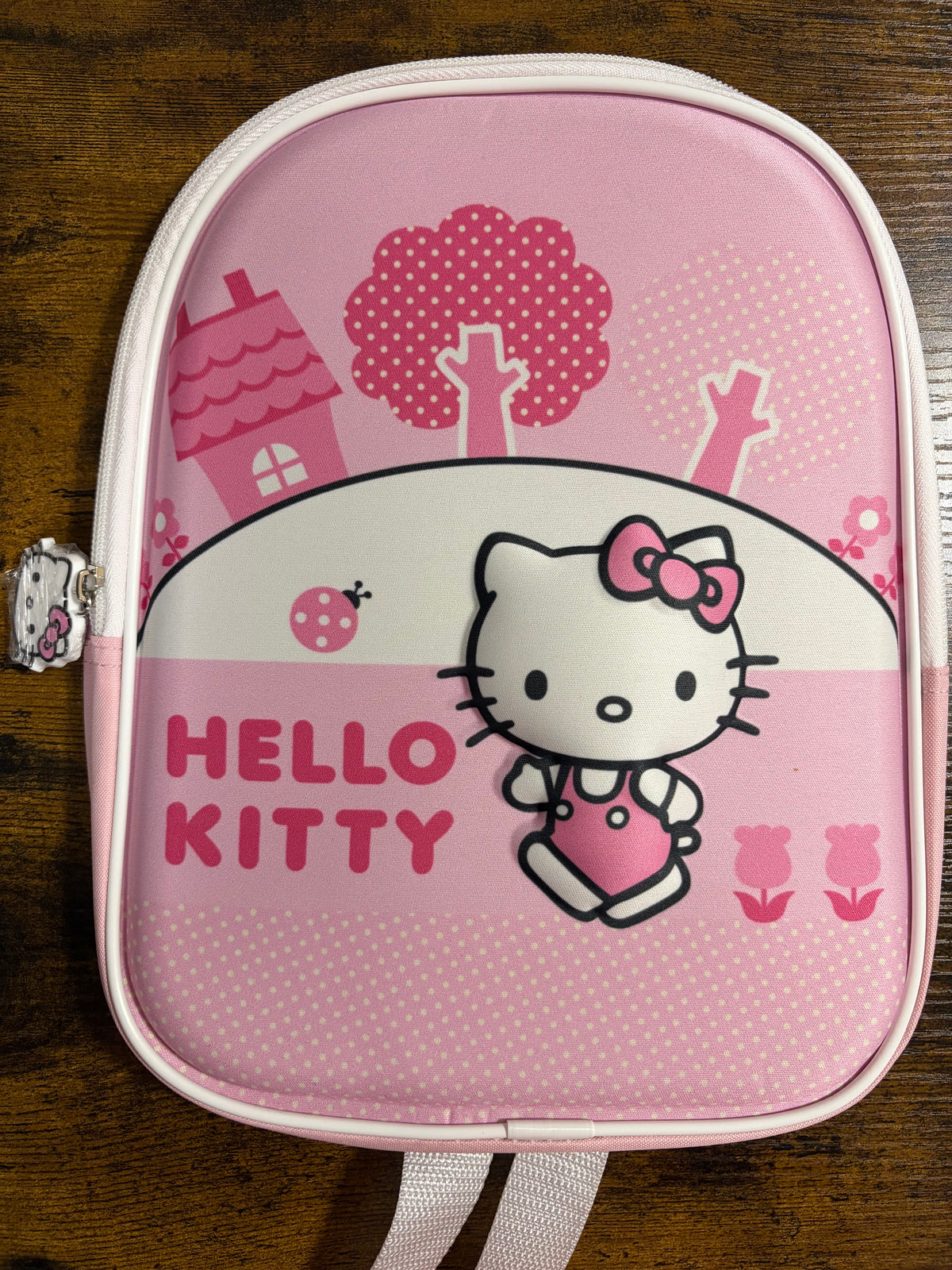 Sac à dos 3D Pikachu / Lotso / Spiderman / Bluey / Hello kitty