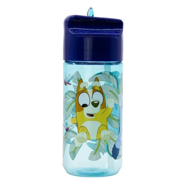 Bouteille a paille K-POP / Bluey / One piece / Stitch