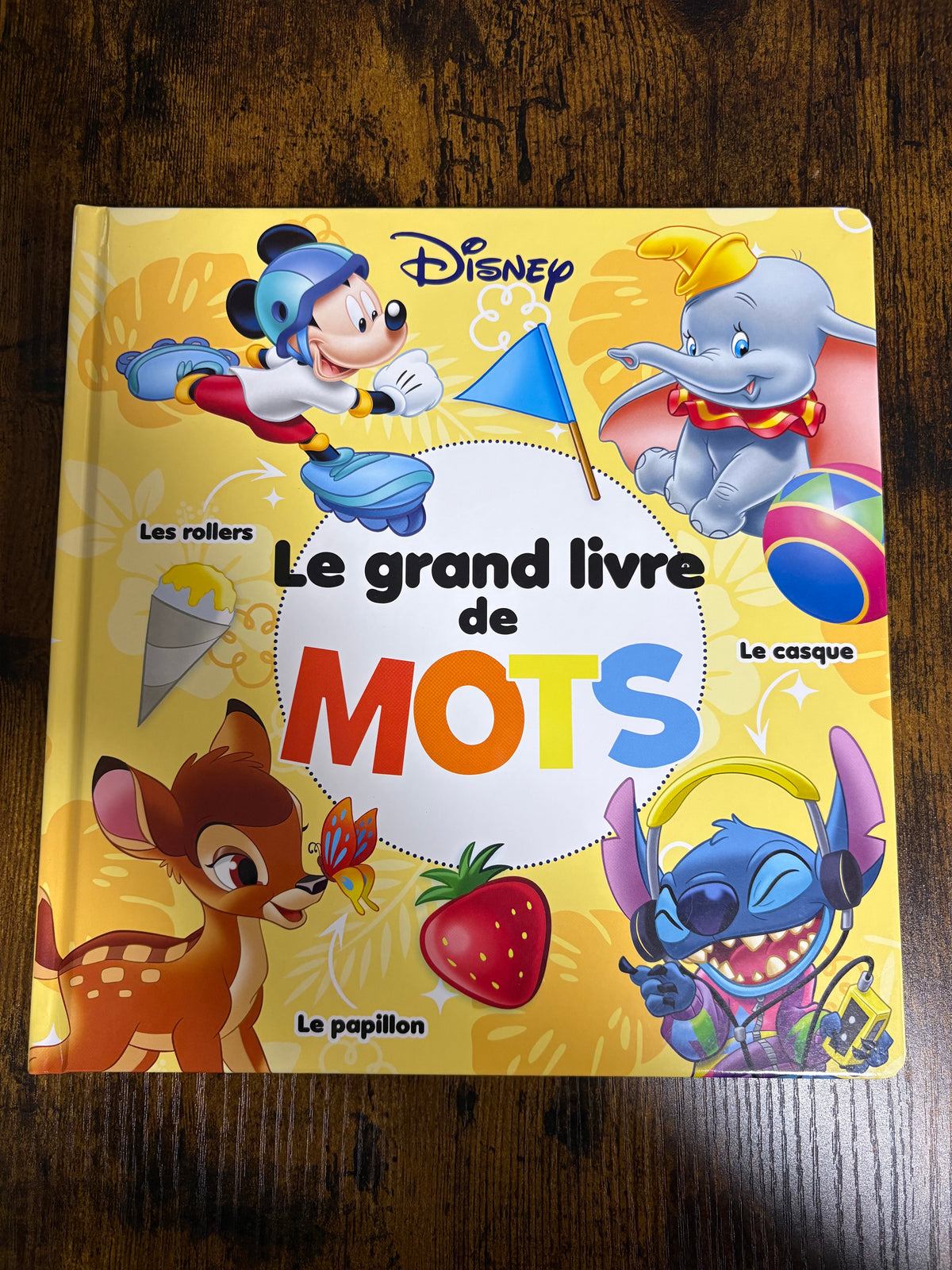 Le grand livre de MOTS