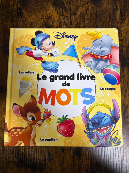 Le grand livre de MOTS