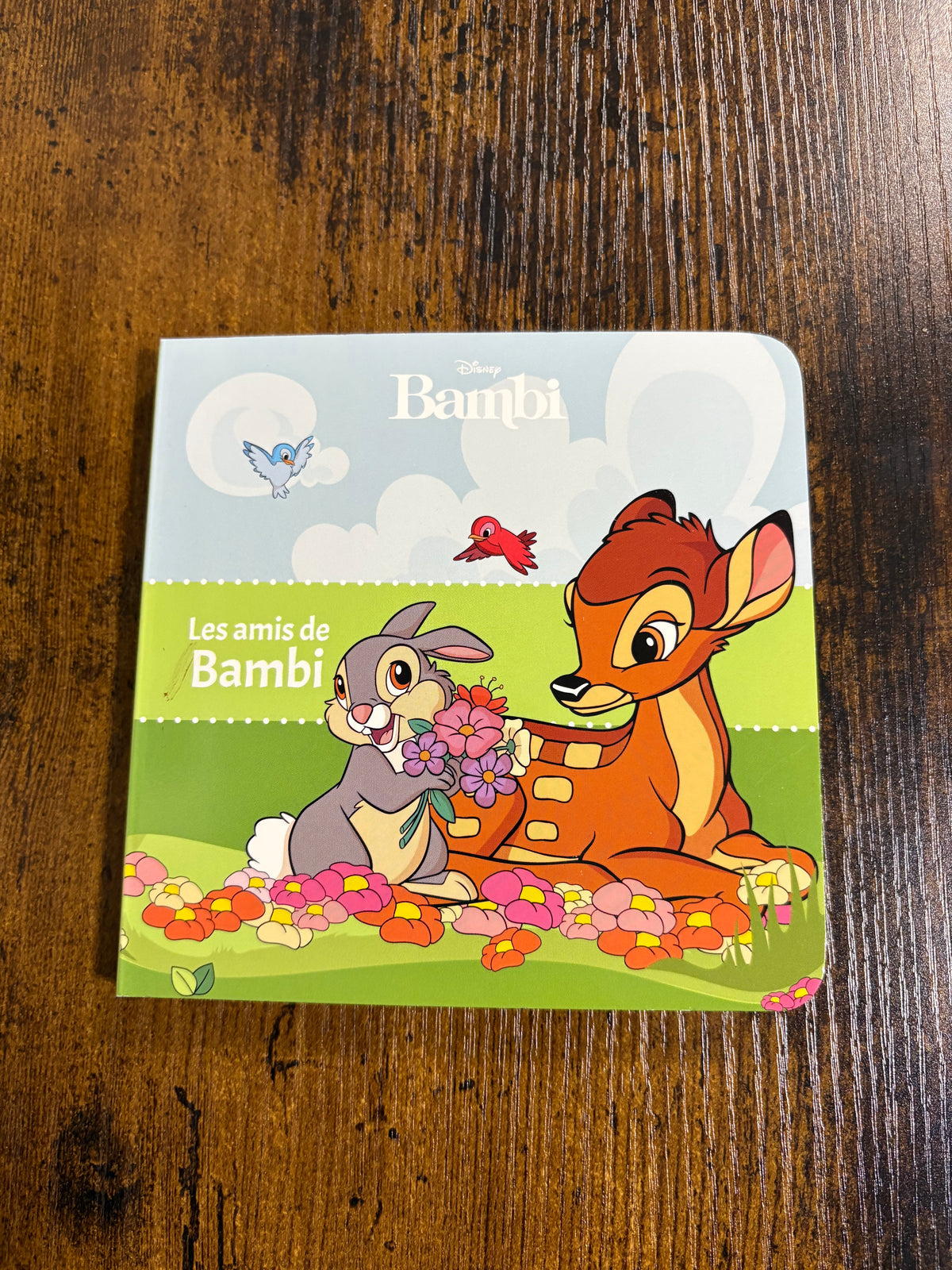 Livre de lecture Disney