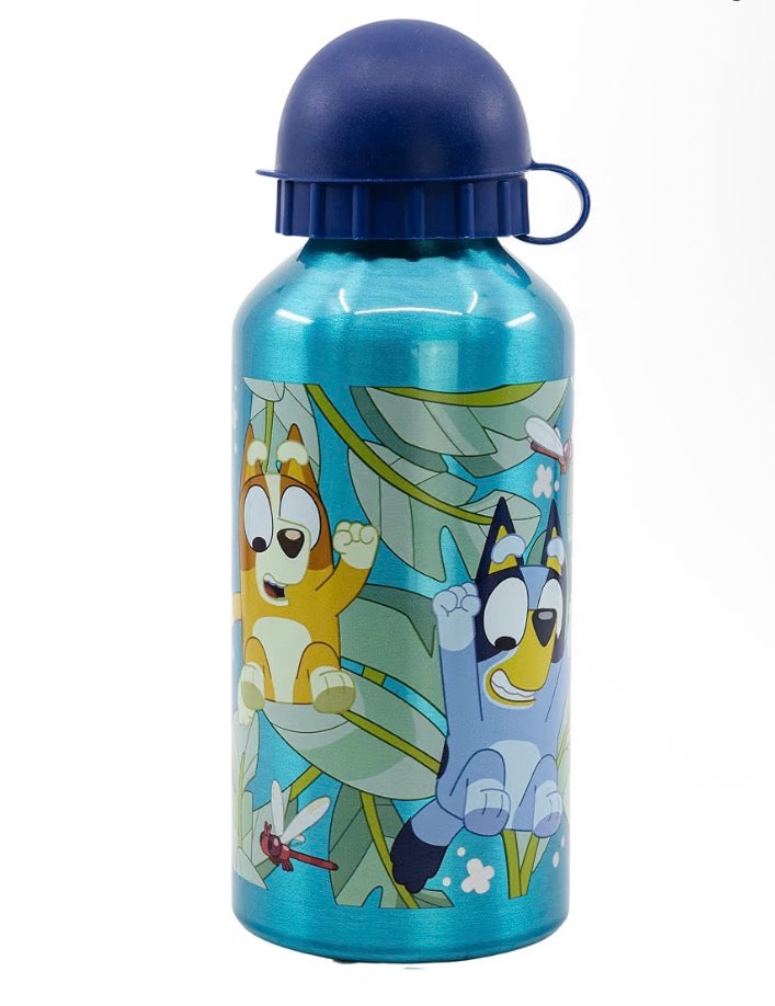 Bouteille a paille K-POP / Bluey / One piece / Stitch